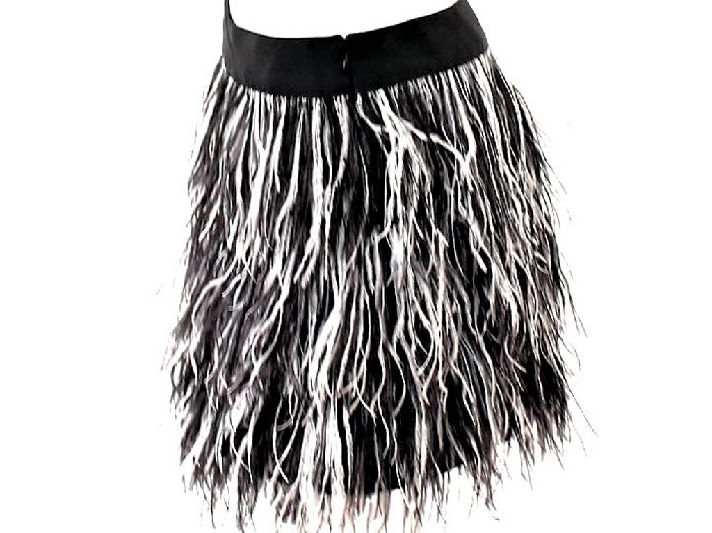 Feather Skirt | Feather skirt outfit, Feather skirt, Mini skirts